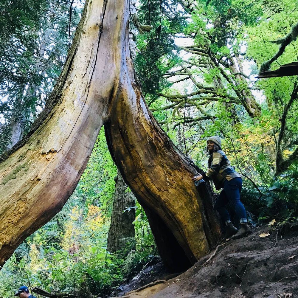 Meet your Posher, Katey